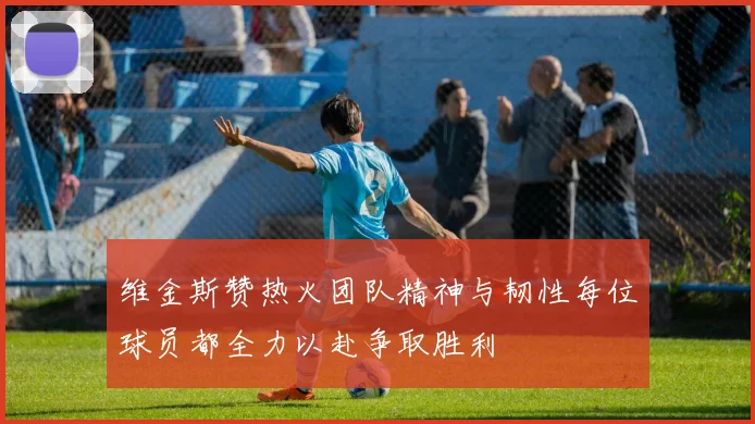 维金斯赞热火团队精神与韧性每位球员都全力以赴争取胜利